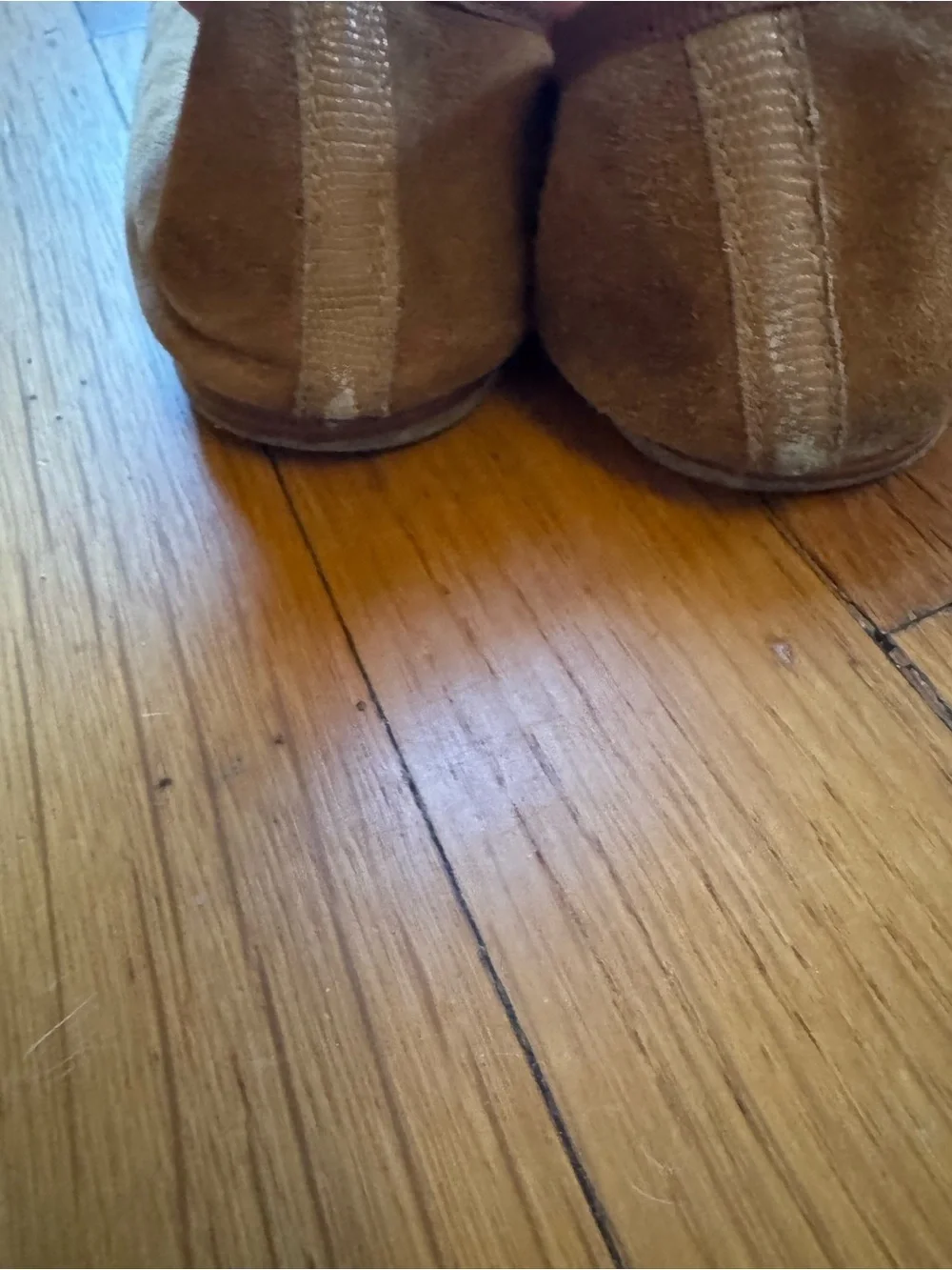 Repetto cendrillon Brown Suede & Leather Ballet Flats